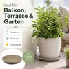 Pflanztopfuntersetzer Mira Taupe Ø 44cm - Frostsicher & Produktbild-Vorschau 2