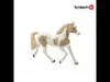 Schleich Horse Club        13884 Paint Horse Stute Produktbild-Vorschau 2