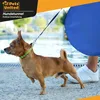 Agility Hundetunnel 300cm Produktbild-Vorschau 7