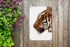 MuchoWow® 40x60 cm Outdoor-Poster Gartendeko Sichtschutz Produktbild-Vorschau 5