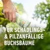 COMPO Algenkalk für Buchsbäume 1 kg Produktbild-Vorschau 8