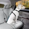 Kurgo Verbindungsstück Direct to Seatbelt Tether Produktbild-Vorschau 2