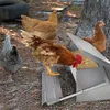 XINZI Automatické krmítko na 10 kg krmiva, krmítko pro Náhled obrázku produktu 9