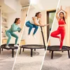 BERG Fitness-Trampolin 110 Schwarz Produktbild-Vorschau 2