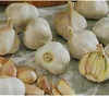 Pflanzknoblauch weiß 250 g Produktbild-Vorschau 1