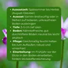 Samenshop24® Winterwicken, vicia villosa, Inhalt: 1kg für Produktbild-Vorschau 4