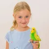 Budgerigar zelený 13 cm Náhled obrázku produktu 2