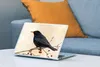 MuchoWow® Laptop Aufkleber Sticker Cover Amsel - Vogel - Produktbild-Vorschau 4
