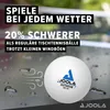 JOOLA Tischtennisbälle Outdoor 6er Pack Anteprima dell’immagine prodotto 6