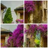 Bild auf Leinwand - Leinwandbild - Straße Sommer Blumen - Produktbild-Vorschau 8