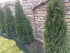 Vogelschutznetz 5 x 6m Laubschutznetz Gartennetz Teichnetz Produktbild-Vorschau 7