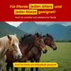 Scheidler horse-direkt Mönchspfeffer Liquid für Pferde Produktbild-Vorschau 4