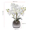Umělé orchideje v květináči Phalaenopsis White Flower Náhled obrázku produktu 2