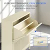 FLEXISPOT Scarpiera in metallo con 2 ante, scarpiera Anteprima dell’immagine prodotto 4