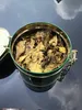 Bois Cheri Premium Green Tea sypaný (50g) - LIMITOVANÁ Náhled obrázku produktu 3