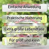 2x Wespenfalle Insektenschutz 18cm groß transparent Produktbild-Vorschau 9