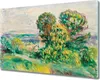 Coloray Herdabdeckplatte 80x52 cm Schneidebrett Produktbild-Vorschau 1