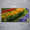 Glasbilder 120x60 Wandbild Druck auf Glas Blumen Pflanzen Produktbild-Vorschau 1