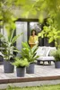 Pot Greensense Aqua Care Rond 43cm Grau Anthrazit - Elho Produktbild-Vorschau 2