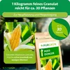 Purgrün -Mais-Dünger 1 kg, Produktbild-Vorschau 4