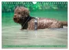 Lagotto Romagnolo, Sonderausgabe (Wandkalender 2027, DIN Produktbild-Vorschau 7