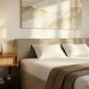 Polsterbett PESARO 160x200 cm, Greige– modernes Doppelbett Produktbild-Vorschau 3