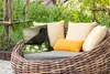 MuchoWow® Outdoor Kissen - Vogel - Amsel - Blumen - 40x40 Produktbild-Vorschau 3