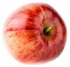 Malus Domestica Coxs Orange Pippin 100-120 cm Apfelbaum -  Produktbild-Vorschau 1