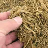 Zoomed Forest Floor 8.8L - Tropisches Terrariensubstrat Produktbild-Vorschau 4