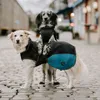 Hunter Hundemantel Uppsala Allrounder anthrazit/petrol, Produktbild-Vorschau 5