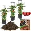 3x Tomatenpflanze aus Kunststoff Pflanzkübel 12 L + Produktbild-Vorschau 1