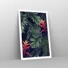 Poster - Poster ohne Rahmen - Exotisch Blumen Blätter - Produktbild-Vorschau 7