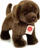 A brown teddy bear Labrador dog is standing on a white background. Produktbild-Vorschau