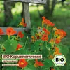 Samenliebe  Kapuzinerkresse Samen | Nicht rankend - essbar Produktbild-Vorschau 4
