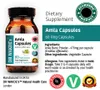 DR WAKDE'S Amla Kapseln (Amalaki | indische Stachelbeere | Produktbild-Vorschau 4