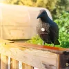 Realistische Vogelabwehr Krähe mit Sound: Produktbild-Vorschau 11