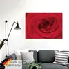 ARTland Wandbild, selbstklebend Rote Rose Größe: 100x70 cm Produktbild-Vorschau 5