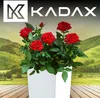 A white planter with red roses in front of a green hilly landscape. Anteprima dell’immagine prodotto