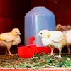 Automatyczne poidła dla kur i drobiu, 6 szt. – Podgląd zdjęcia produktu 5