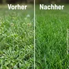 SUBSTRAL Rasen-Dünger mit Unkrautvernichter 9 kg - 8344 Produktbild-Vorschau 5