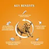 Croquettes pour chiens au poulet et aux légumes, 15 kg – Dr Voir les images du produit 5