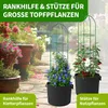 TTL GARDEN Rankhilfe Obelisk L 165x40cm grün – Rankgitter Produktbild-Vorschau 7