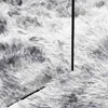 Teppich Shaggy Hochflor NAVARRA Hellgrau 130x200 cm Produktbild-Vorschau 8