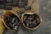 Bastoncini di bourbon alla vaniglia 5pz freschi lunghi Anteprima dell’immagine prodotto 12