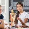 Two young girls are in a classroom setting, looking at an anatomical model of the human body. Náhled obrázku produktu