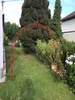 GardenAndPools Arco di rose Parigi Pizzo di giglio B-2,40 m Anteprima dell’immagine prodotto 4