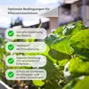 osoltus Hochbeet Gartenbeet Pflanzbeet halbrund aus Metall Produktbild-Vorschau 8