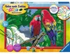 Pappagalli colorati Ravensburger 23770 Anteprima dell’immagine prodotto 14