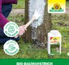 NeudorffBaumanstrich 2L in max. 24h abgebunden - Produktbild-Vorschau 5