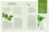 Die Ernährungs-Docs - Supergesund mit Superfoods Produktbild-Vorschau 7
